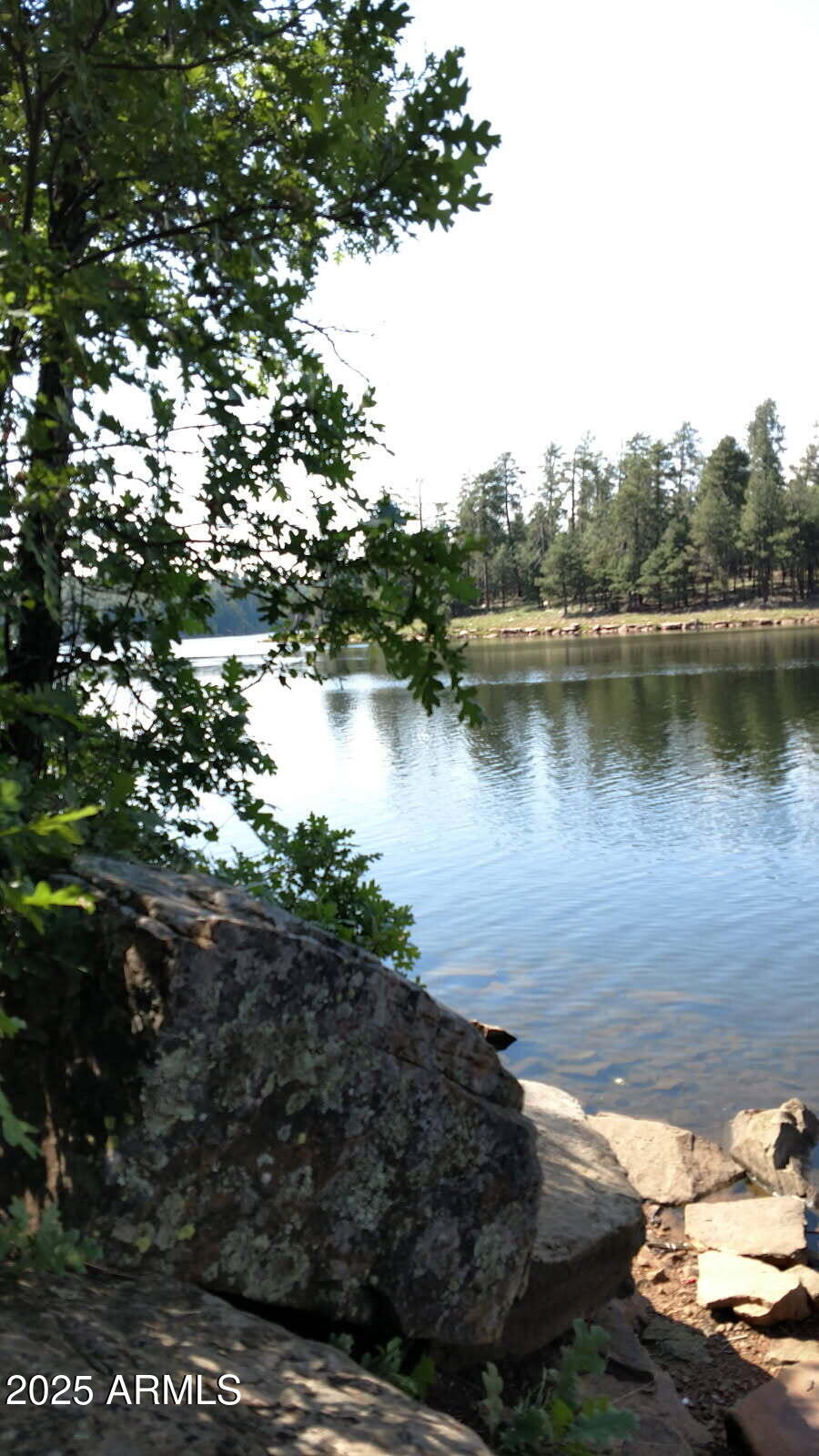 3910 Larson Loop Forest Lakes, AZ 85931 - Photo 56 of 57 Nearby Lake