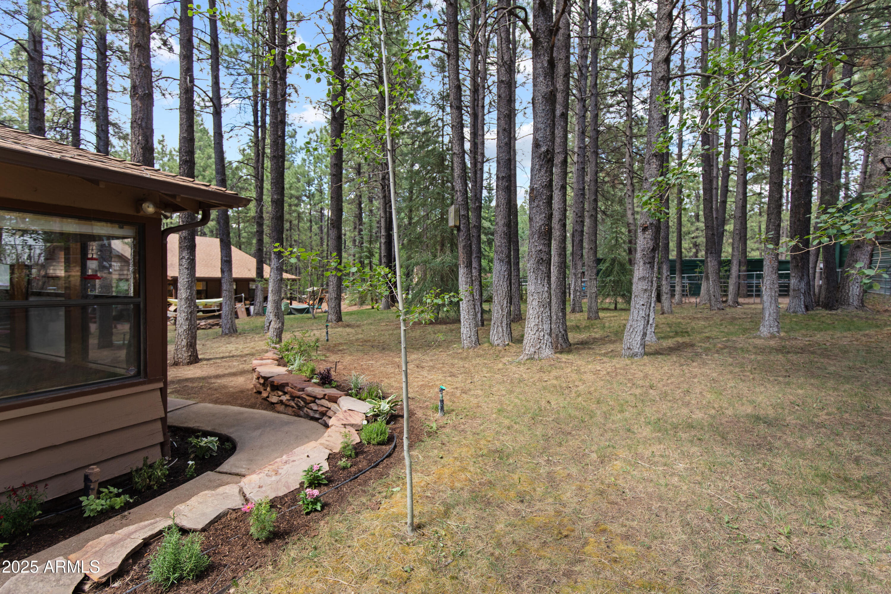 3910 Larson Loop Forest Lakes, AZ 85931 - Photo 9 of 57 Exterior 7