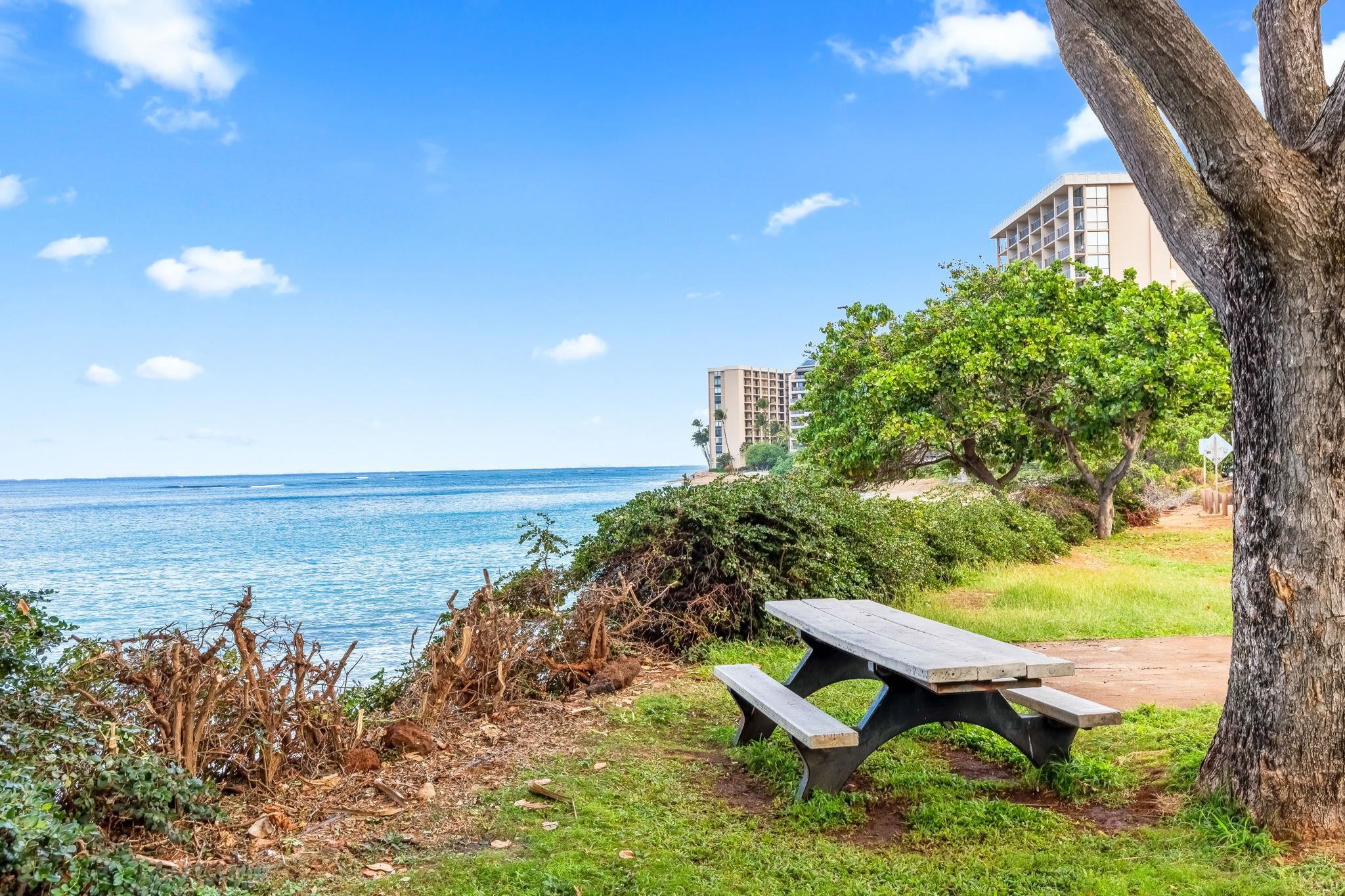 4435 Lower Honoapiilani Road, Unit 116 Lahaina, HI 96761 - Photo 24 of 42 Gallery Image 24