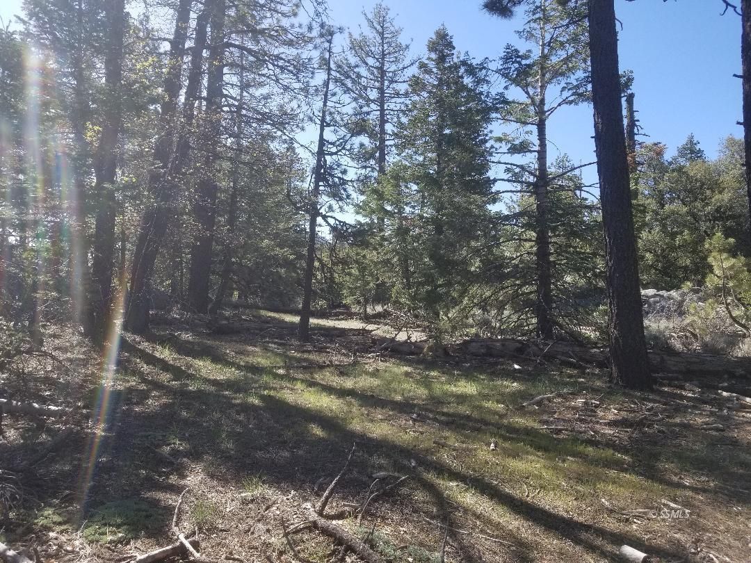 Piute Pines Caliente, CA 93518 - Photo 24 of 26