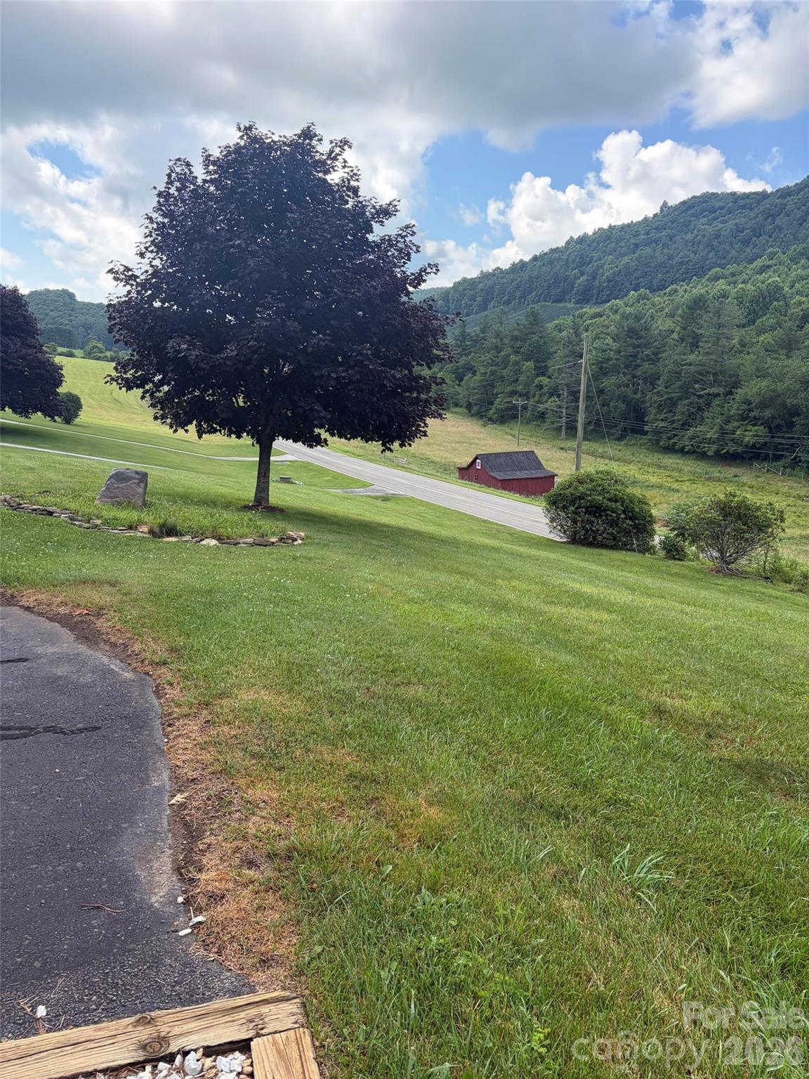 2997 Phillips Gap Road West Jefferson, NC 28694 - Photo 5 of 48