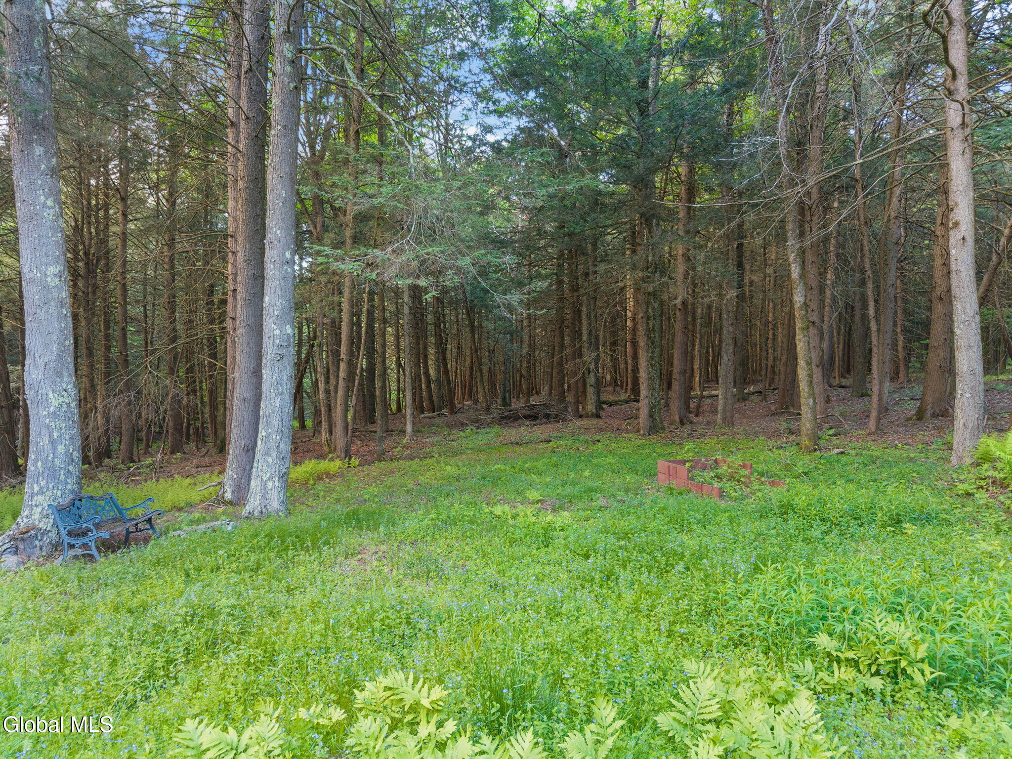202 Blakesley Road Gilboa, NY 12076 - Photo 34 of 45 39