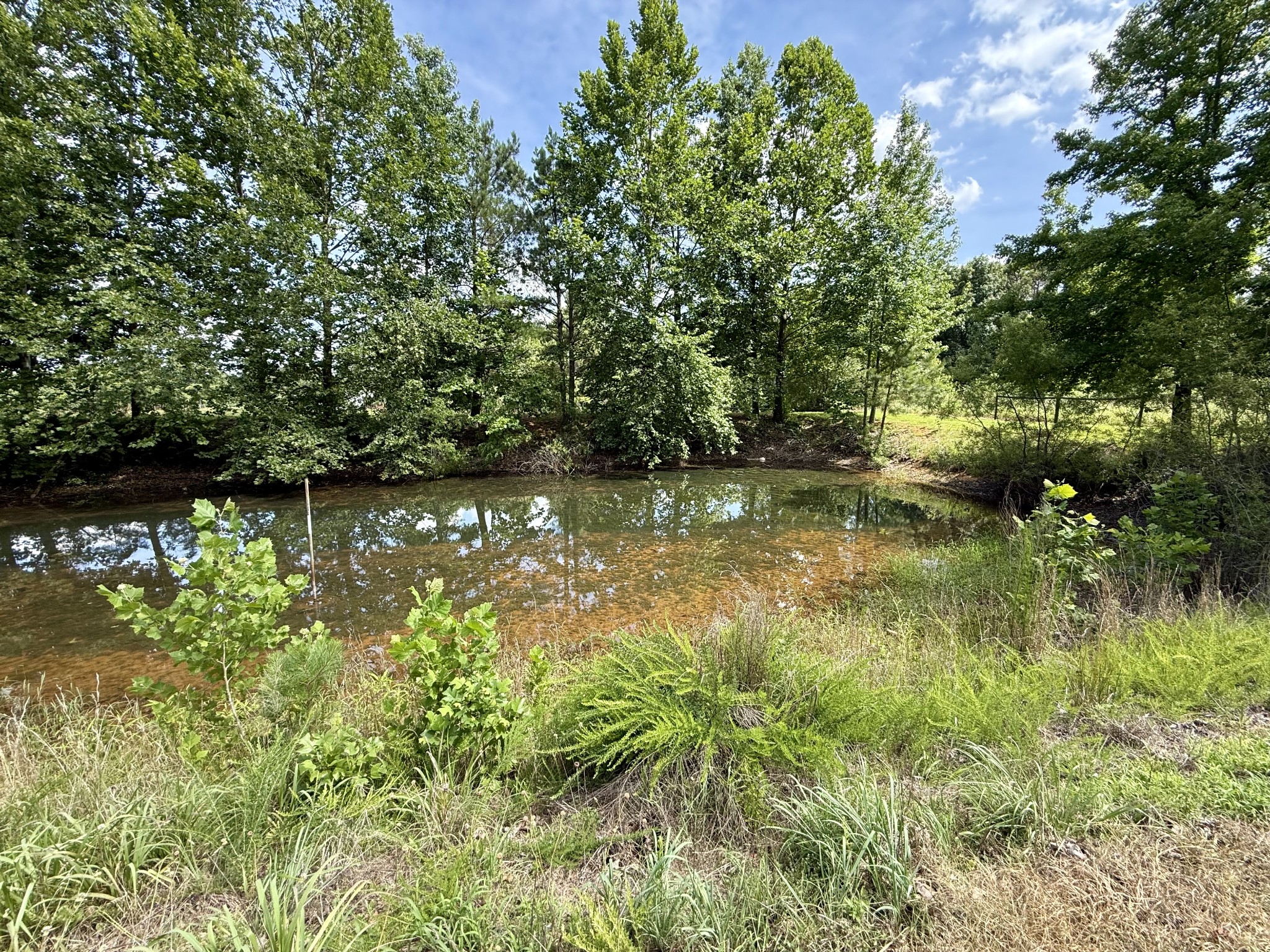 59 Hardin Loop Westpoint, TN 38486 - Photo 42 of 74