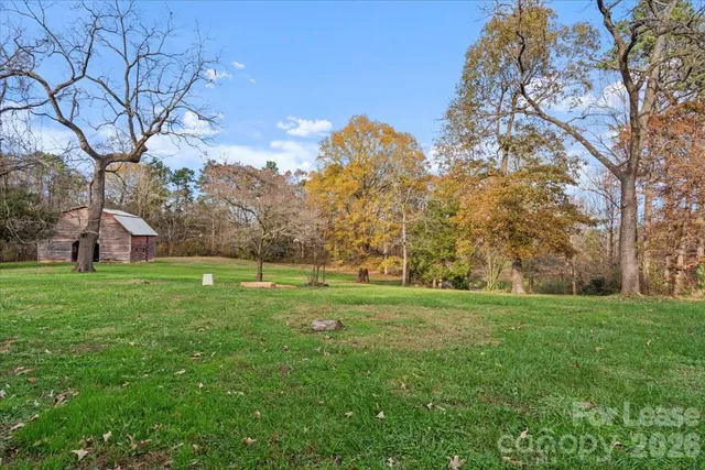 a view of a field of grass and trees
