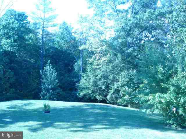 199 Mexico Road Pine Grove, PA 17963 - Photo 18 of 19 Gallery Image 18