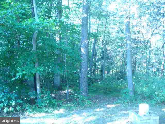 199 Mexico Road Pine Grove, PA 17963 - Photo 19 of 19 Gallery Image 19