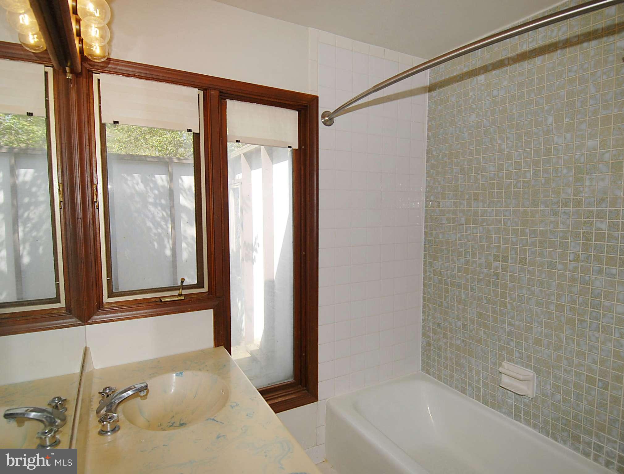 3909 Laurel Road Alexandria, VA 22309 - Photo 19 of 26 Bath (Master)