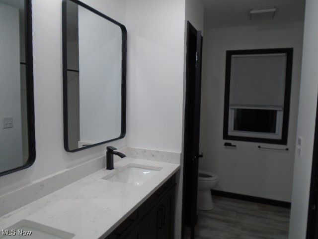 10971 Auburn Road Chardon, OH 44024 - Photo 20 of 40 Full bath featuring double vanity and dark wood-style floors