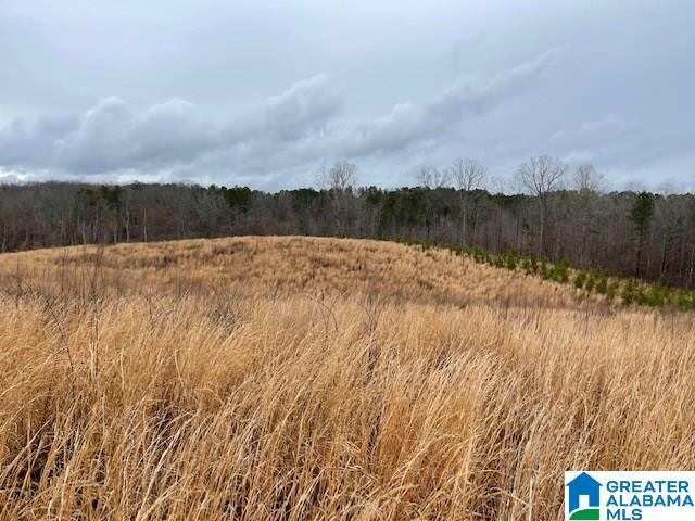59 County Road, Unit 30 Heflin, AL 36264 - Photo 4 of 24