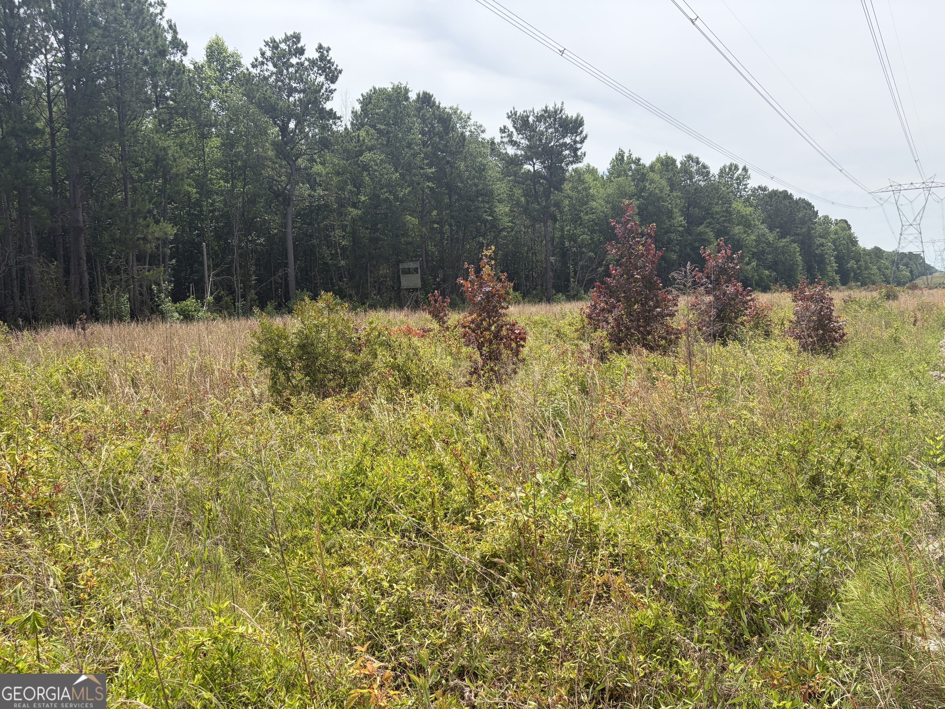 5 Sunhill Grange Road Sandersville, GA 31018 - Photo 7 of 8
