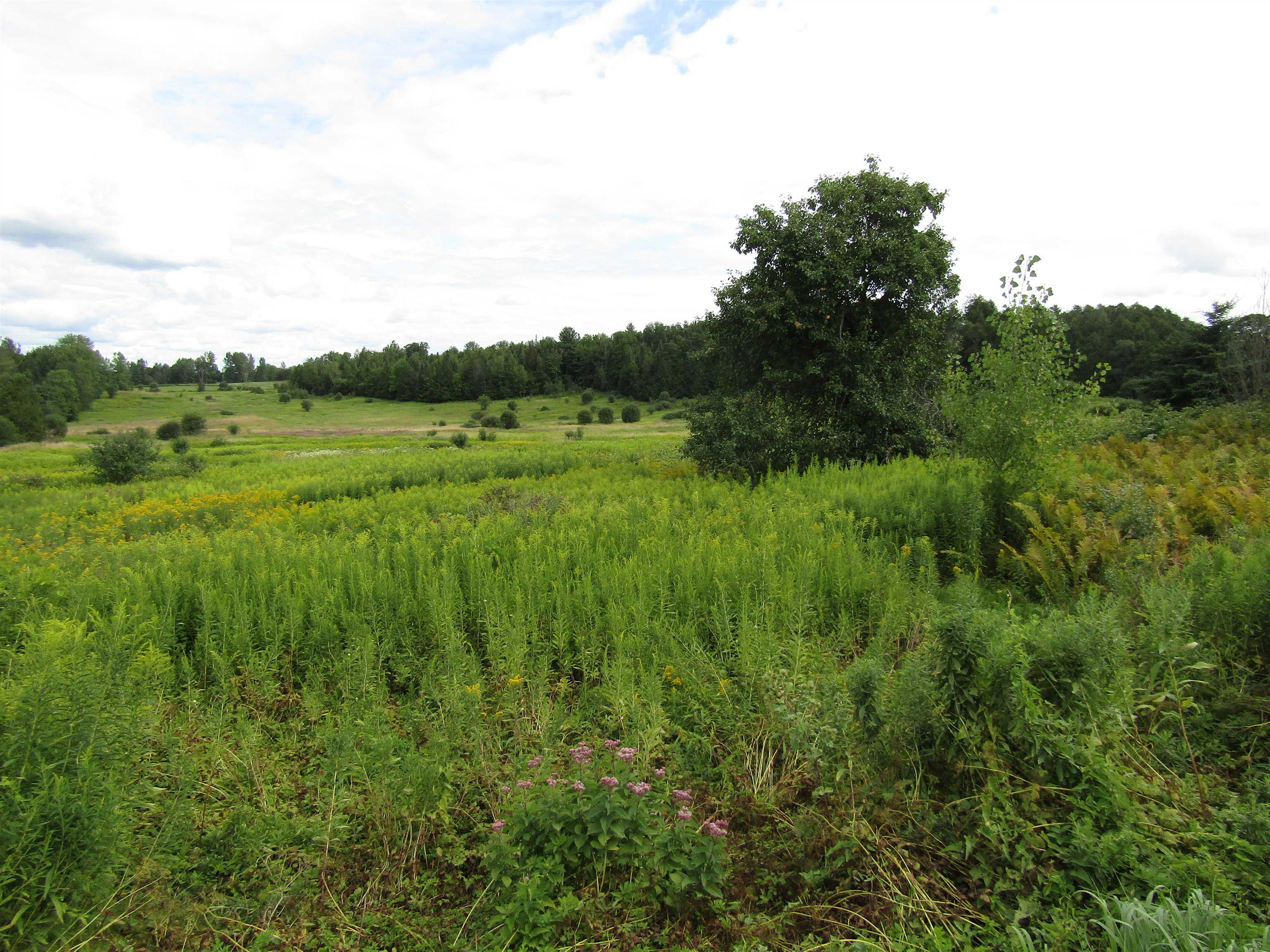 299 School Road Barre Town, VT 05641 - Photo 2 of 10