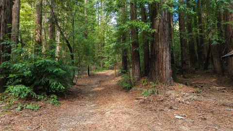 $925,000 | 1000 Harmon Gulch Road, Boulder Creek, CA 95006