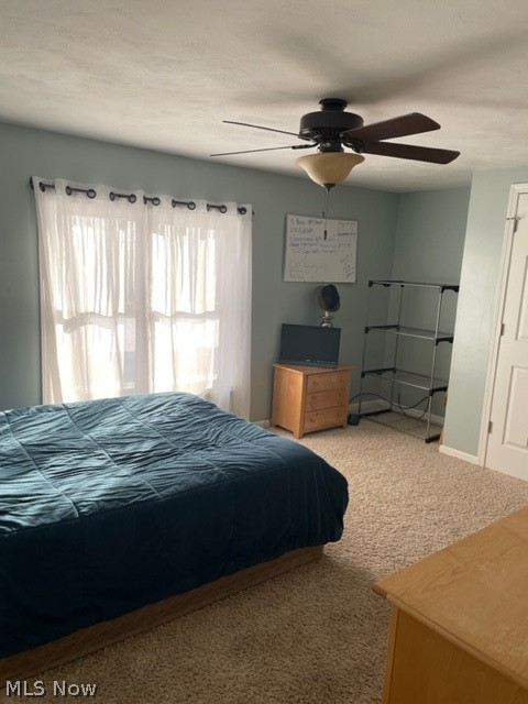 6035 River Road Madison, OH 44057 - Photo 12 of 28