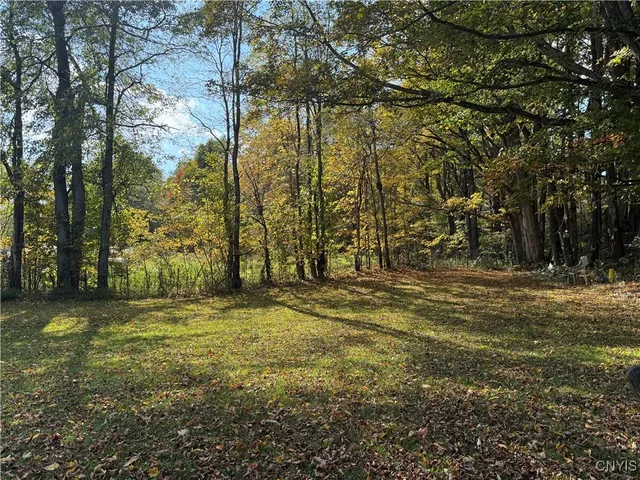 $45,000 | 9985 Briggs Road, Remsen, NY 13438