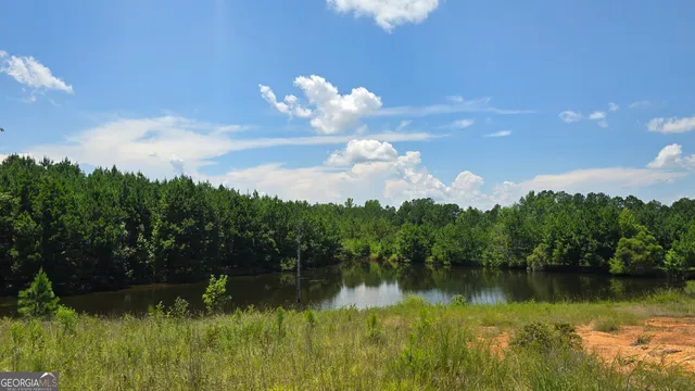 a view of a lake with a mountain in the background