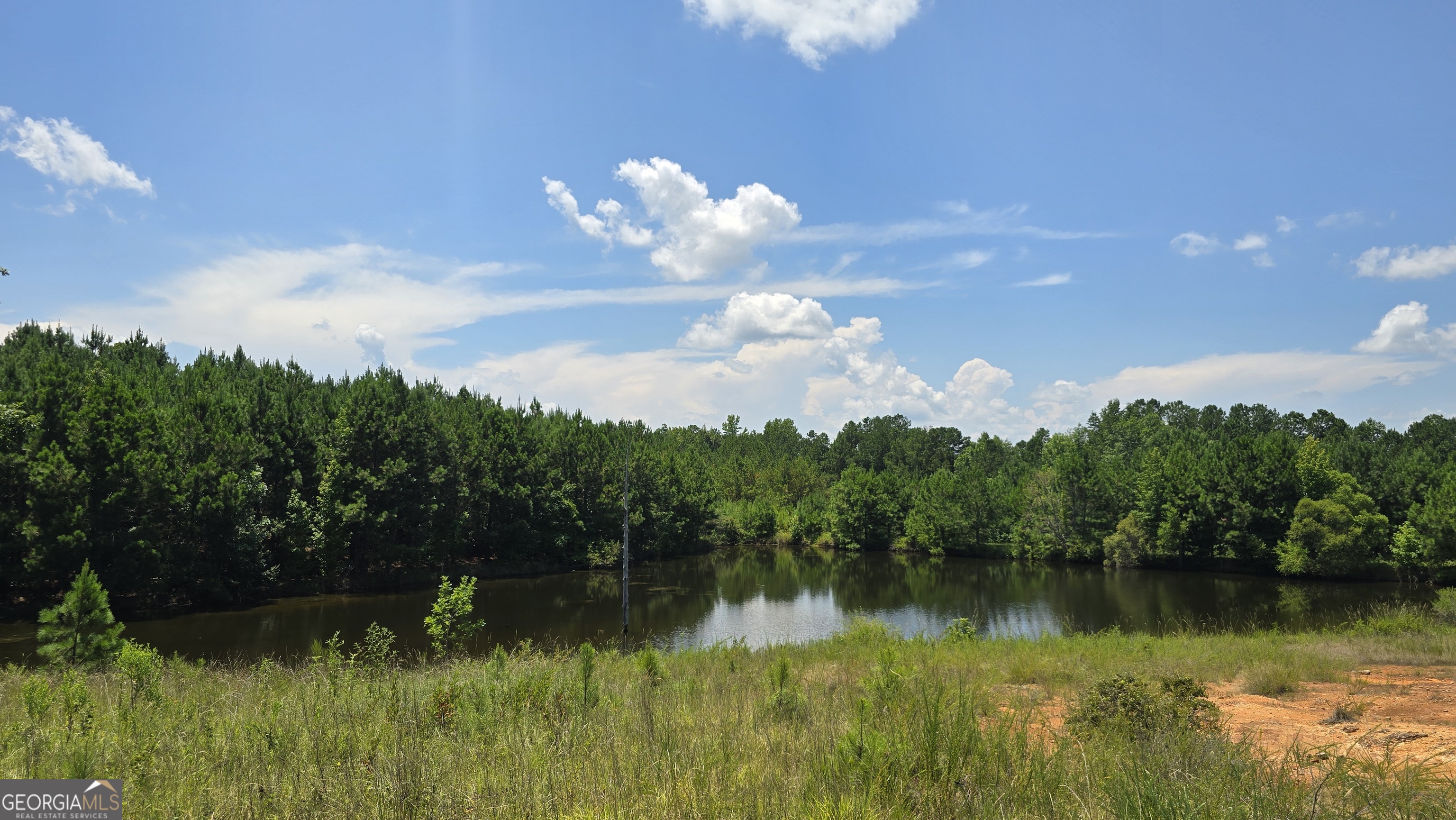 361 Allen Road Musella, GA 31066 - Photo 11 of 41 a view of a lake with a yard and large trees