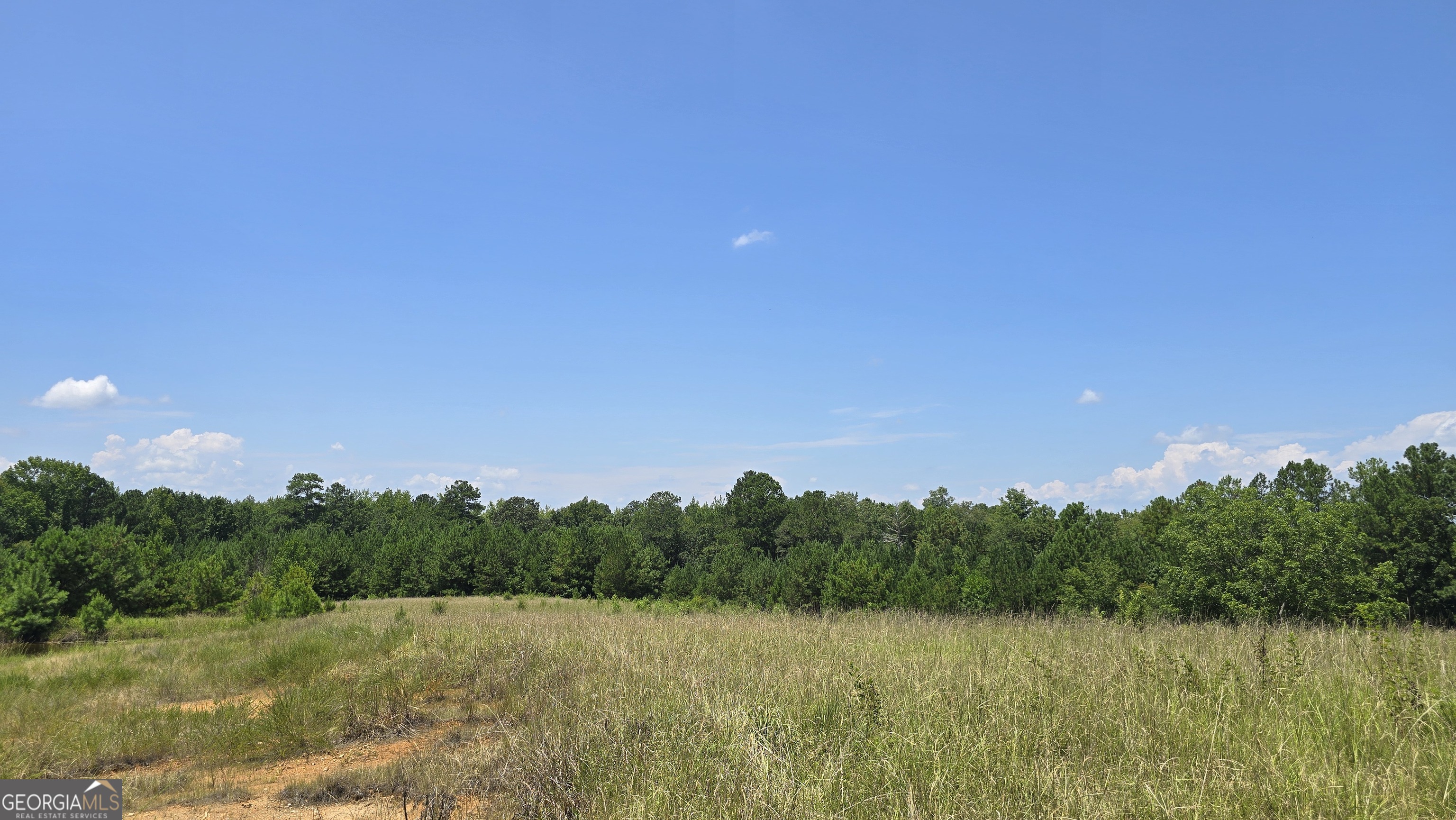 361 Allen Road Musella, GA 31066 - Photo 12 of 41 a view of a lake with a mountain in the background