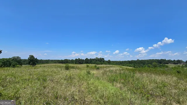 a view of lake and green space