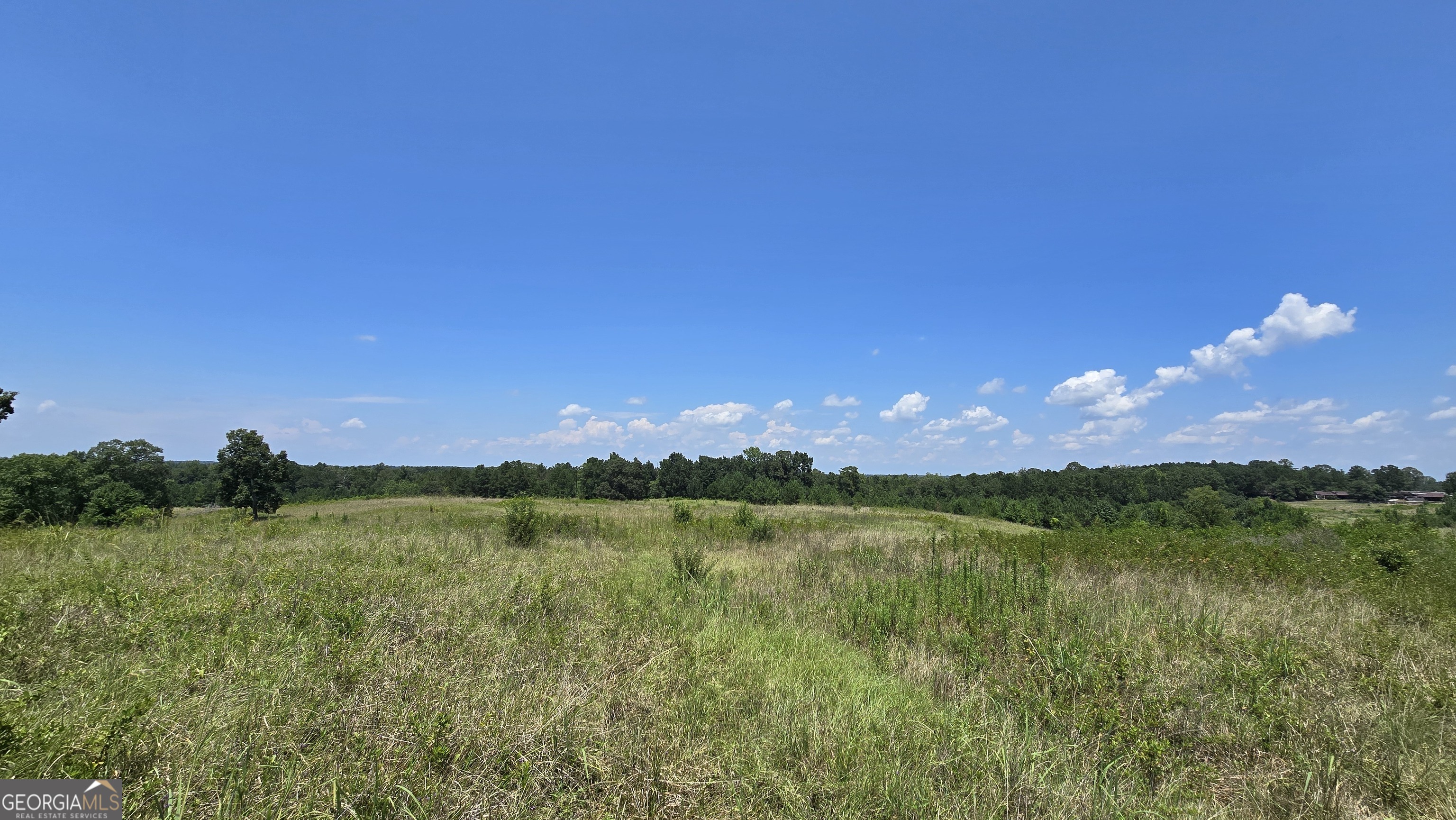 361 Allen Road Musella, GA 31066 - Photo 14 of 41 a view of a lake with a big yard