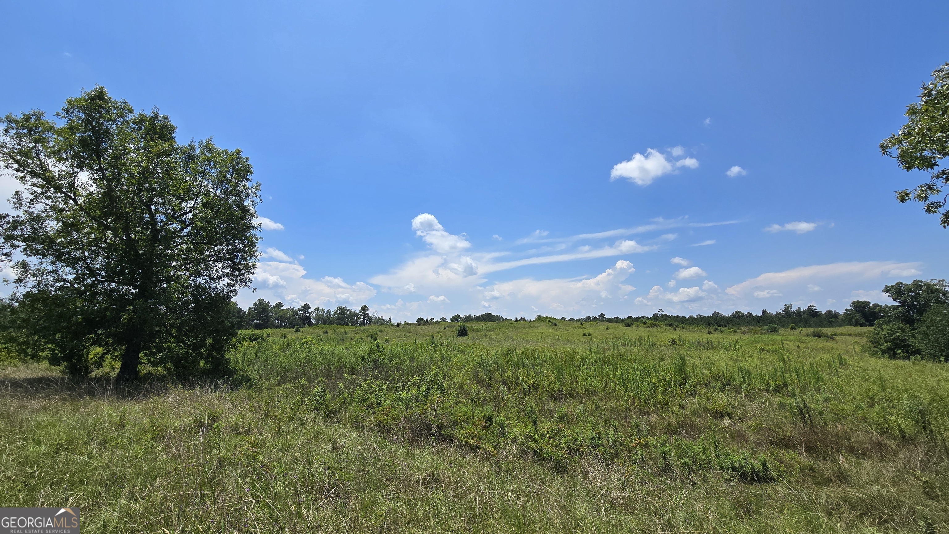361 Allen Road Musella, GA 31066 - Photo 18 of 41 a view of a golf course with a lake