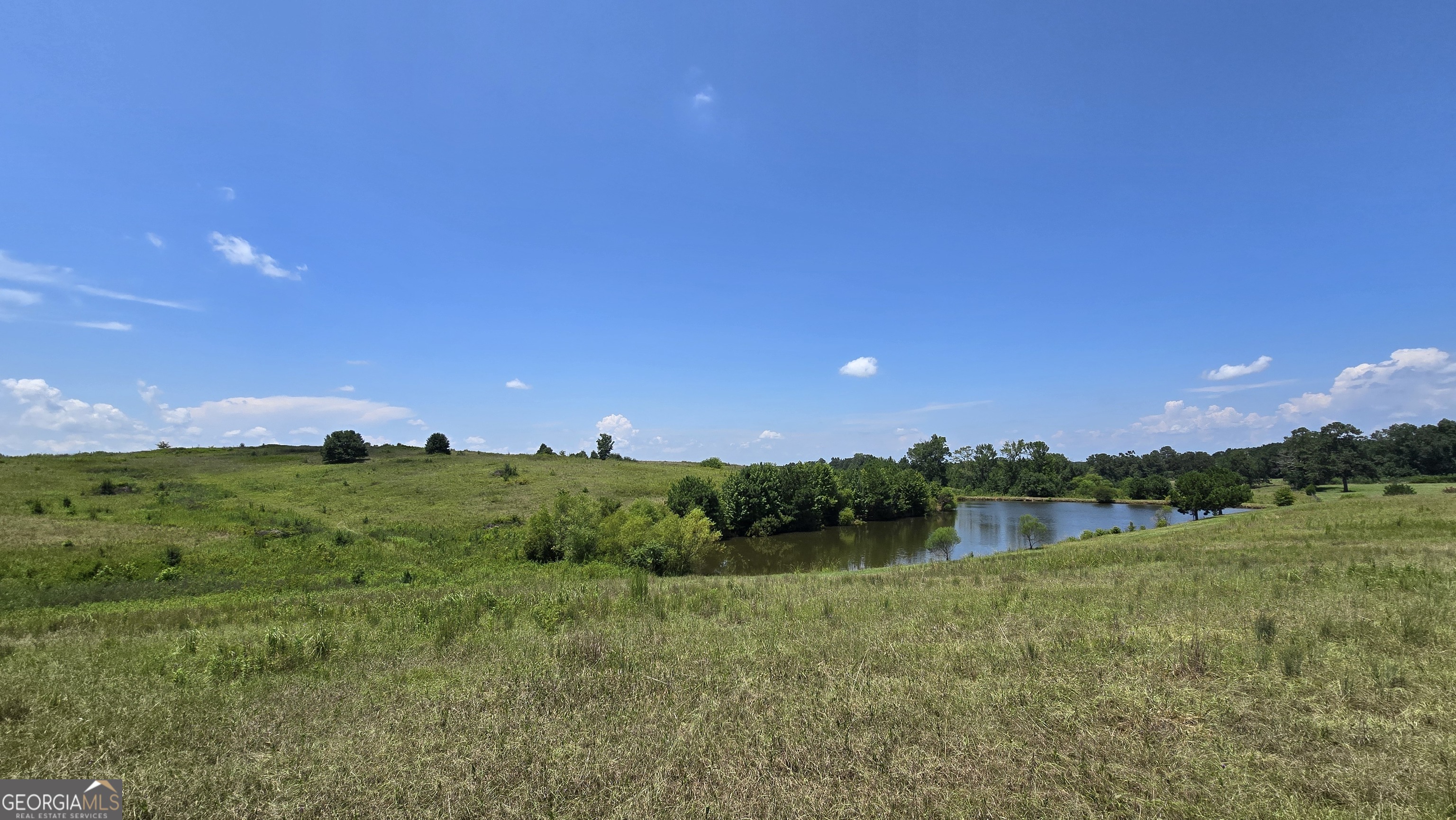 361 Allen Road Musella, GA 31066 - Photo 19 of 41 a view of a lake with a houses