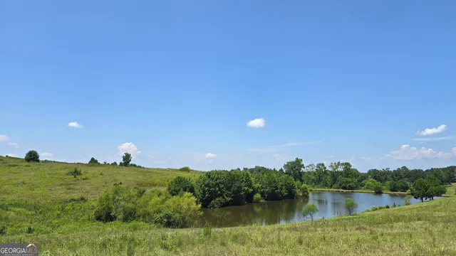 a view of a bunch of trees in background