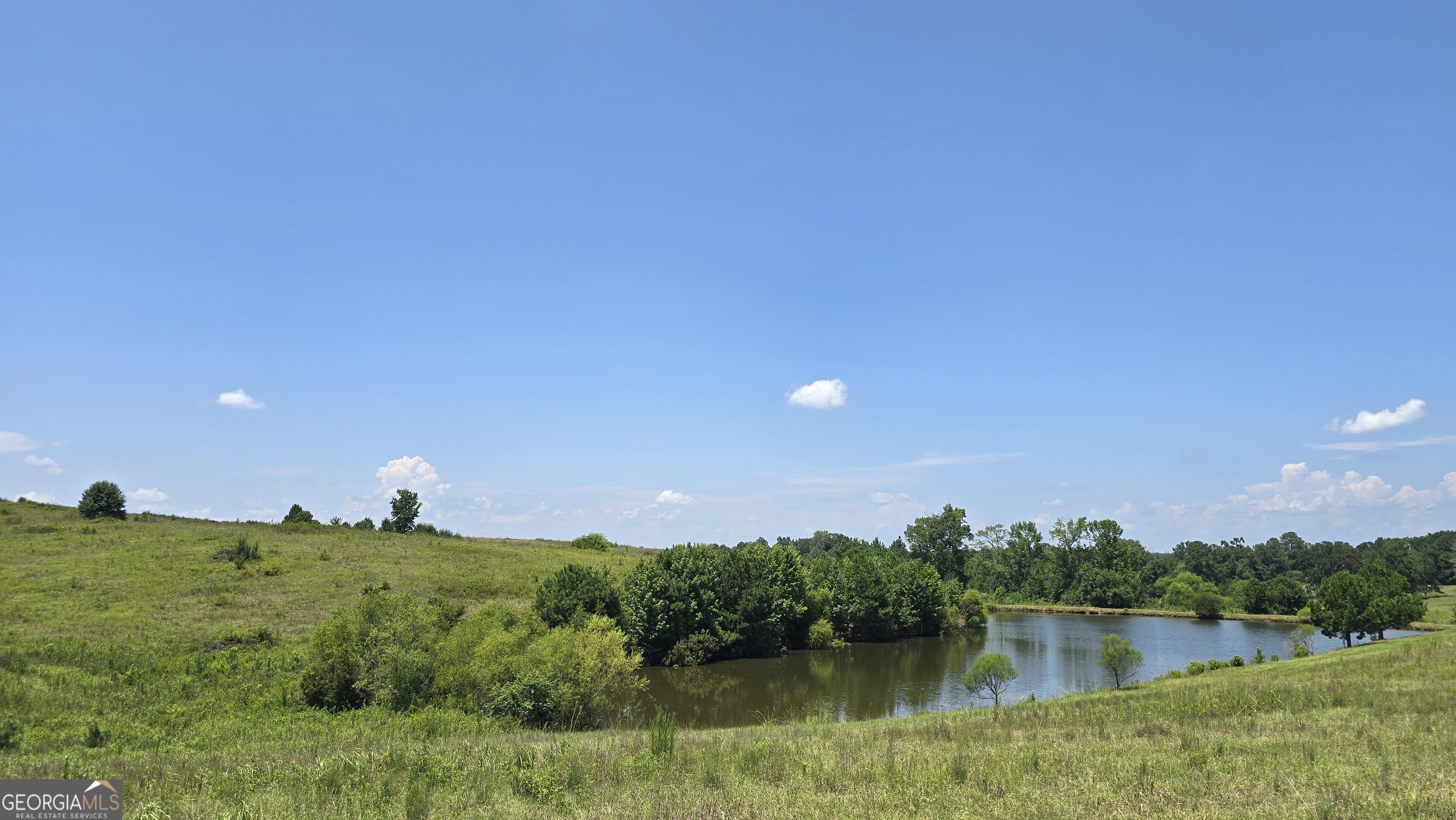 361 Allen Road Musella, GA 31066 - Photo 20 of 41 a view of a lake and green valley