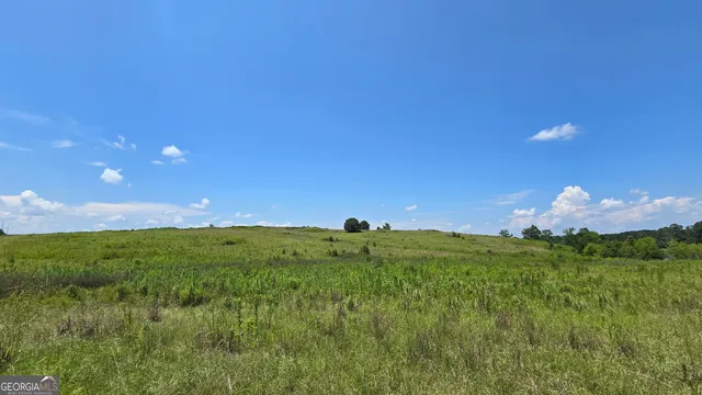a view of a grassy field with an trees