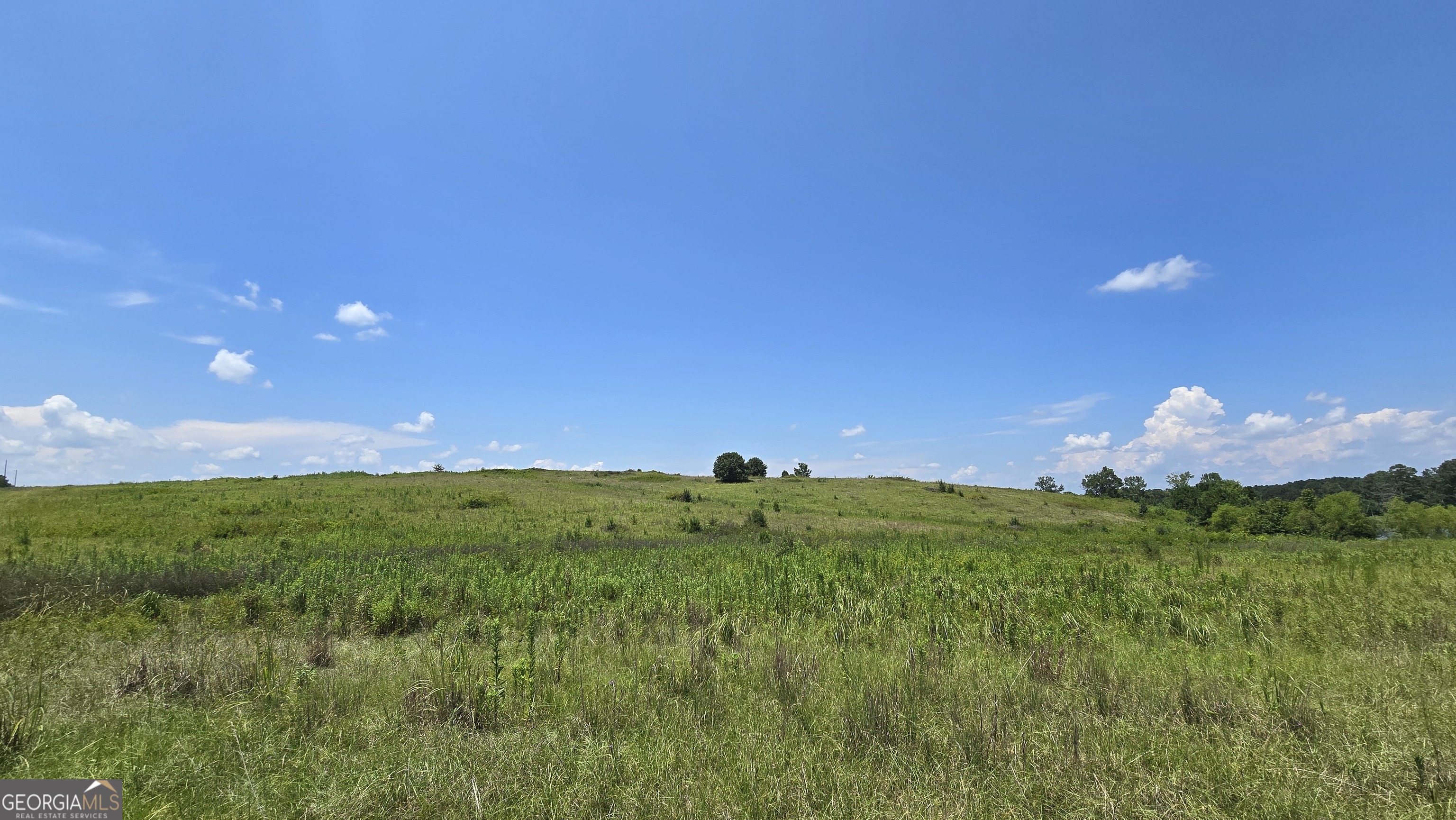 361 Allen Road Musella, GA 31066 - Photo 2 of 41 a view of a grassy field with an trees