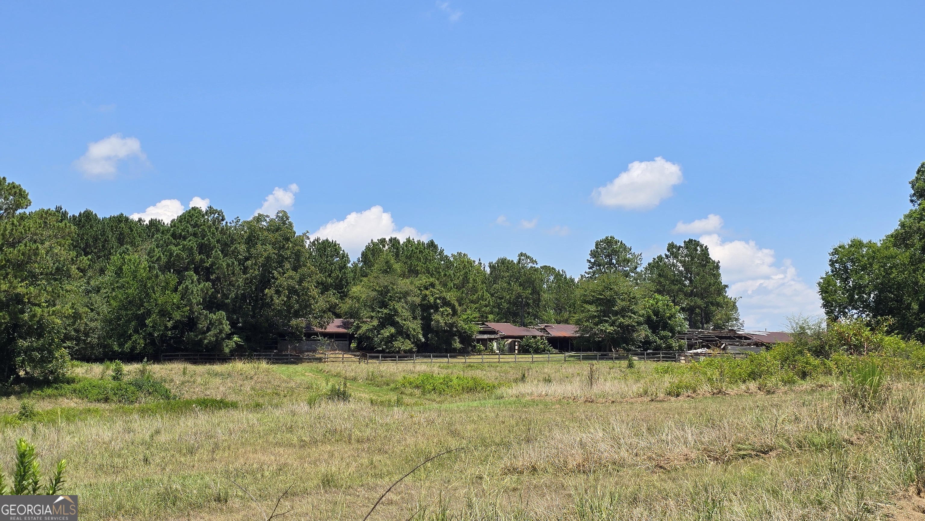 361 Allen Road Musella, GA 31066 - Photo 21 of 41 a view of a bunch of trees in background