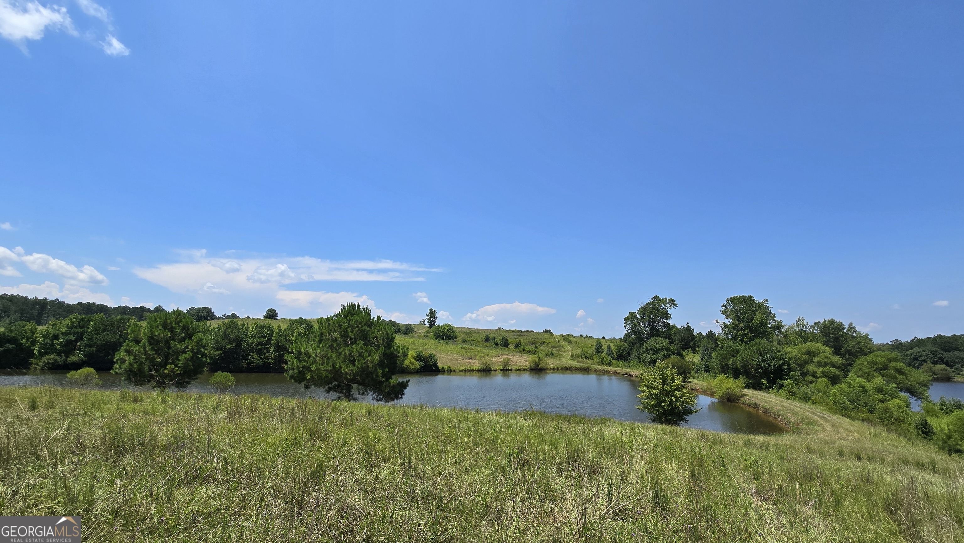 361 Allen Road Musella, GA 31066 - Photo 29 of 41 a view of a lake