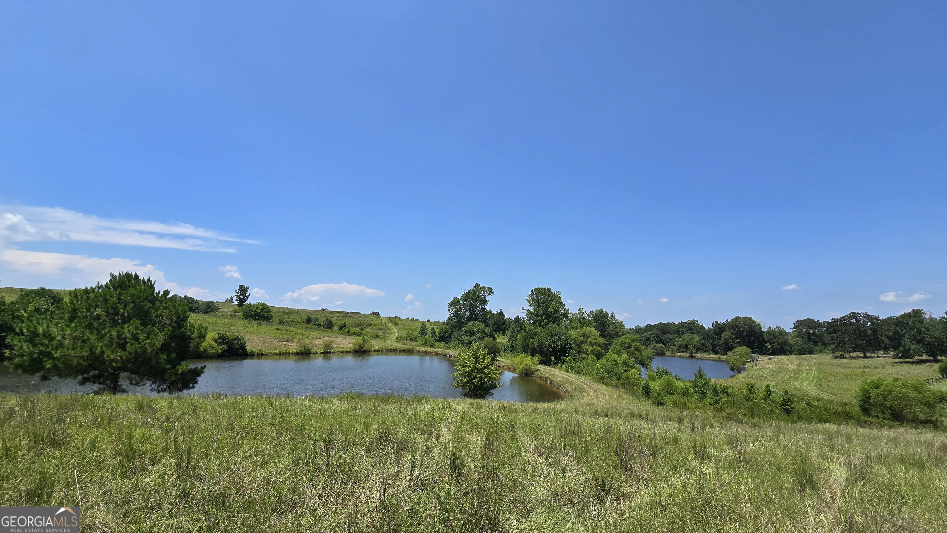 361 Allen Road Musella, GA 31066 - Photo 3 of 41 a view of a lake with a yard