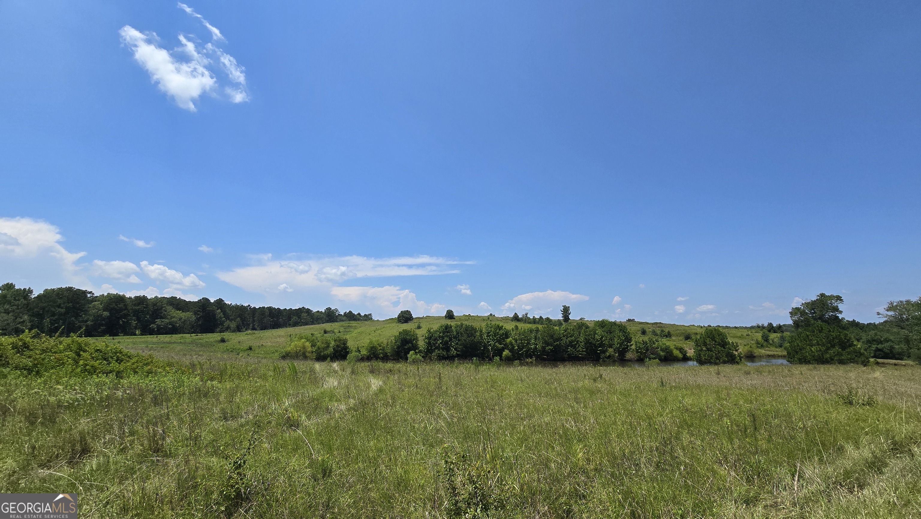 361 Allen Road Musella, GA 31066 - Photo 38 of 41 a view of a city
