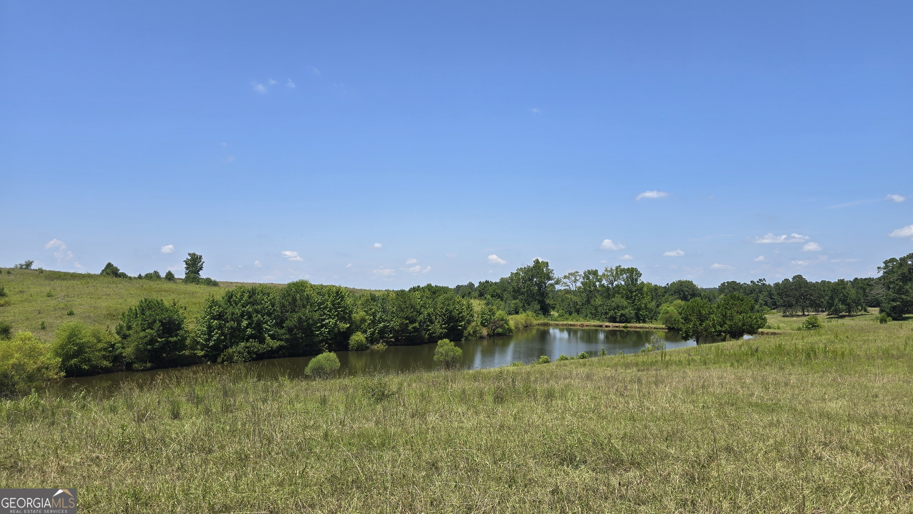 361 Allen Road Musella, GA 31066 - Photo 39 of 41 a view of a lake with houses in the background