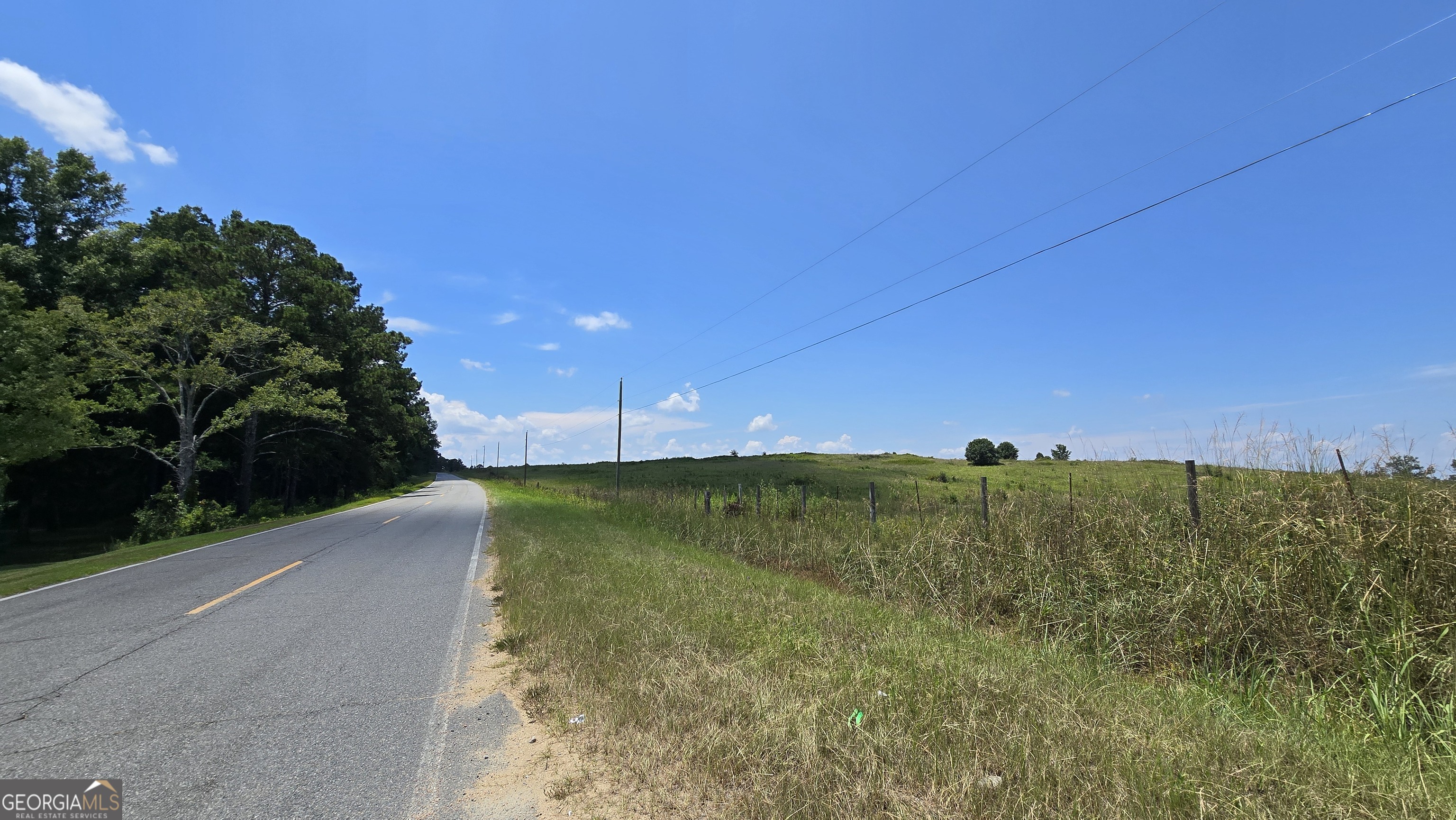 361 Allen Road Musella, GA 31066 - Photo 6 of 41 a view of a yard with a tree