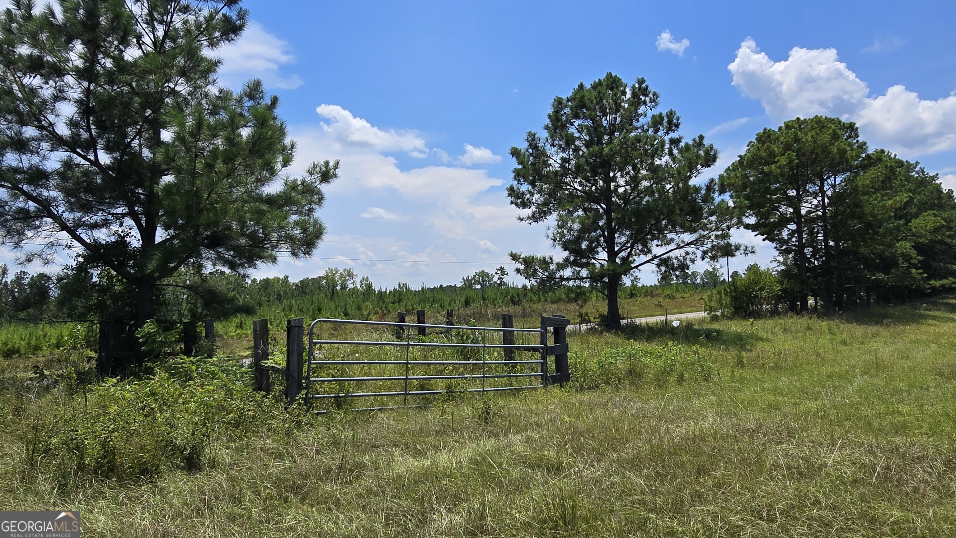 361 Allen Road Musella, GA 31066 - Photo 7 of 41 a view of a park