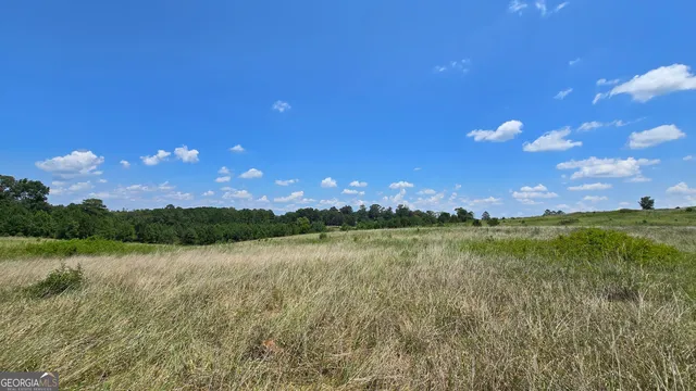 a view of a lake with green space