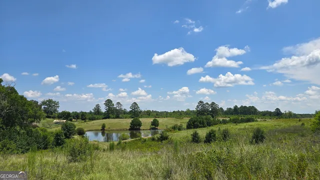 a view of a lake with a yard and large trees