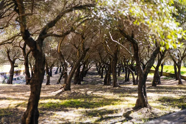 $15,500,000 | 1001 Silverado Trail South, St. Helena, CA 94574