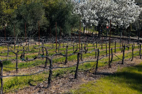 $15,500,000 | 1001 Silverado Trail South, St. Helena, CA 94574