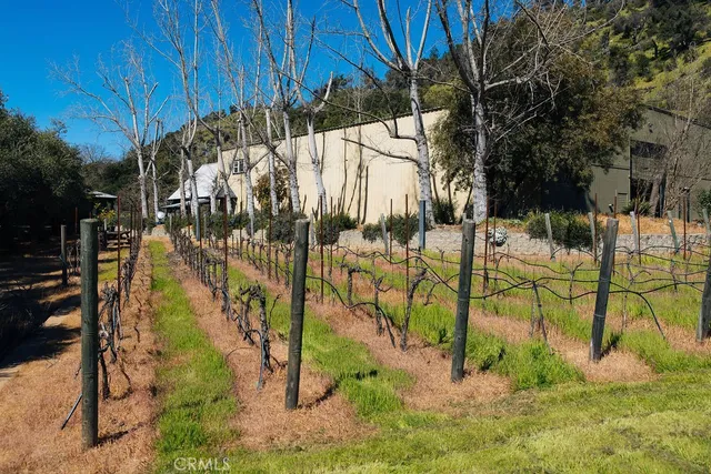 $15,500,000 | 1001 Silverado Trail South, St. Helena, CA 94574