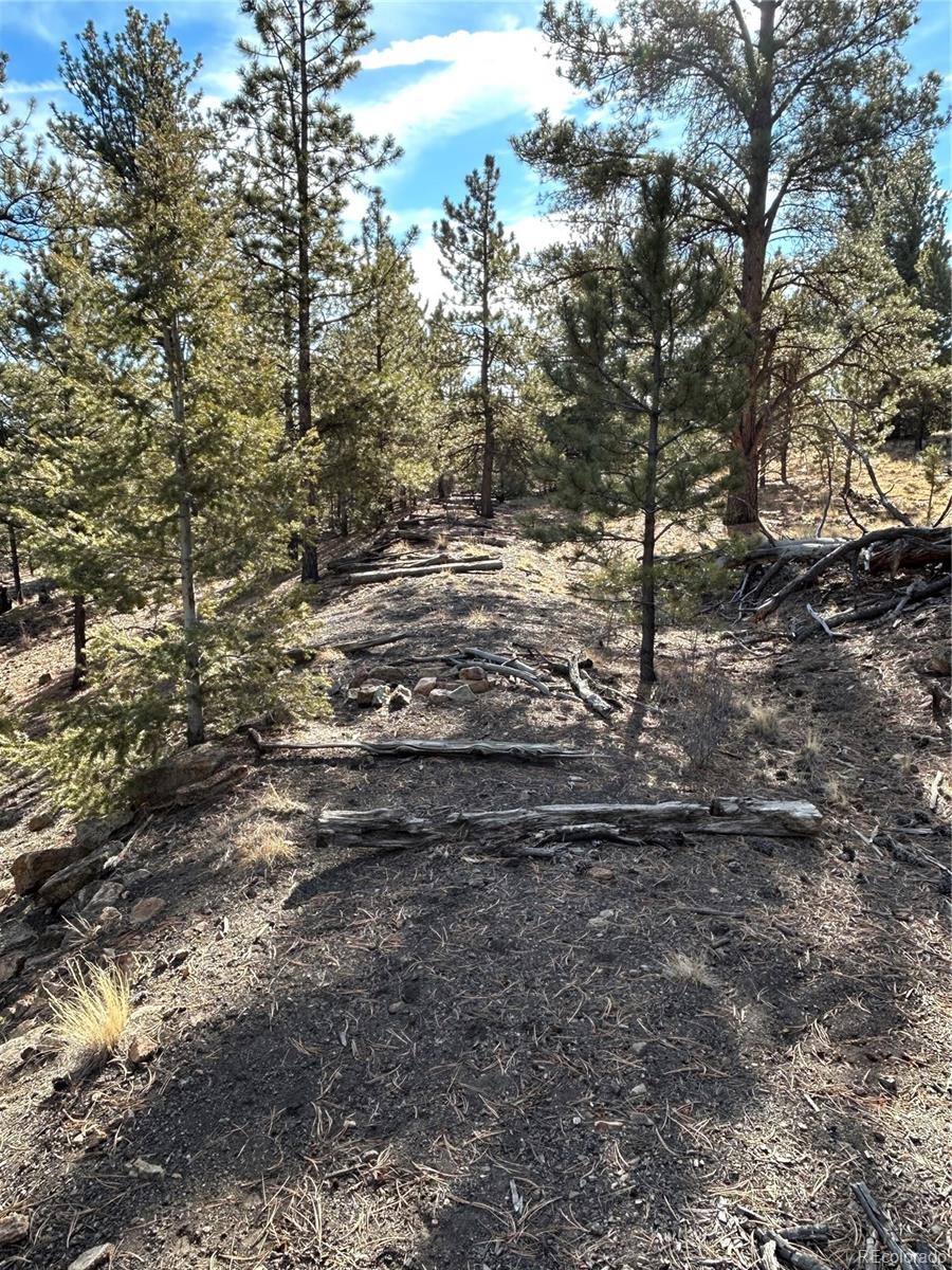 4376 Campfire Road Hartsel, CO 80449 - Photo 2 of 10