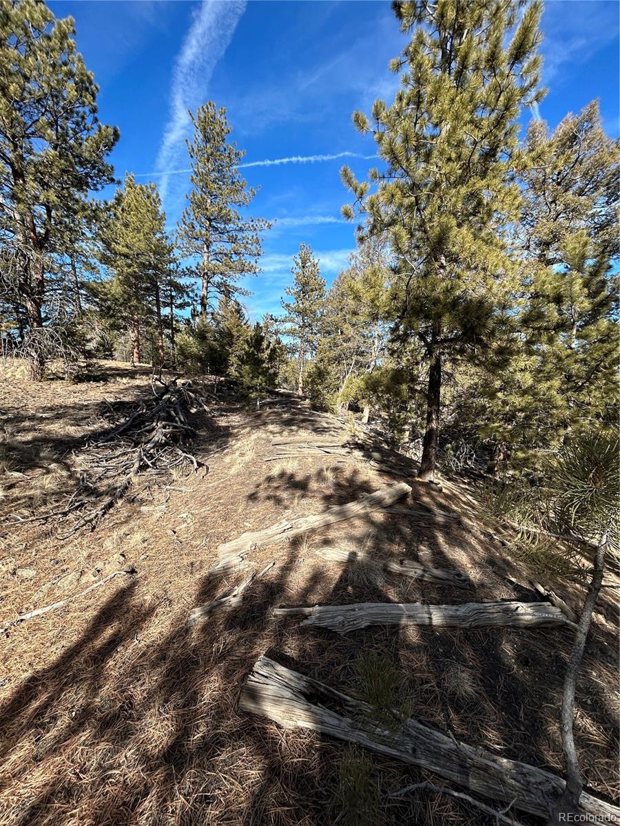 4376 Campfire Road Hartsel, CO 80449 - Photo 3 of 10