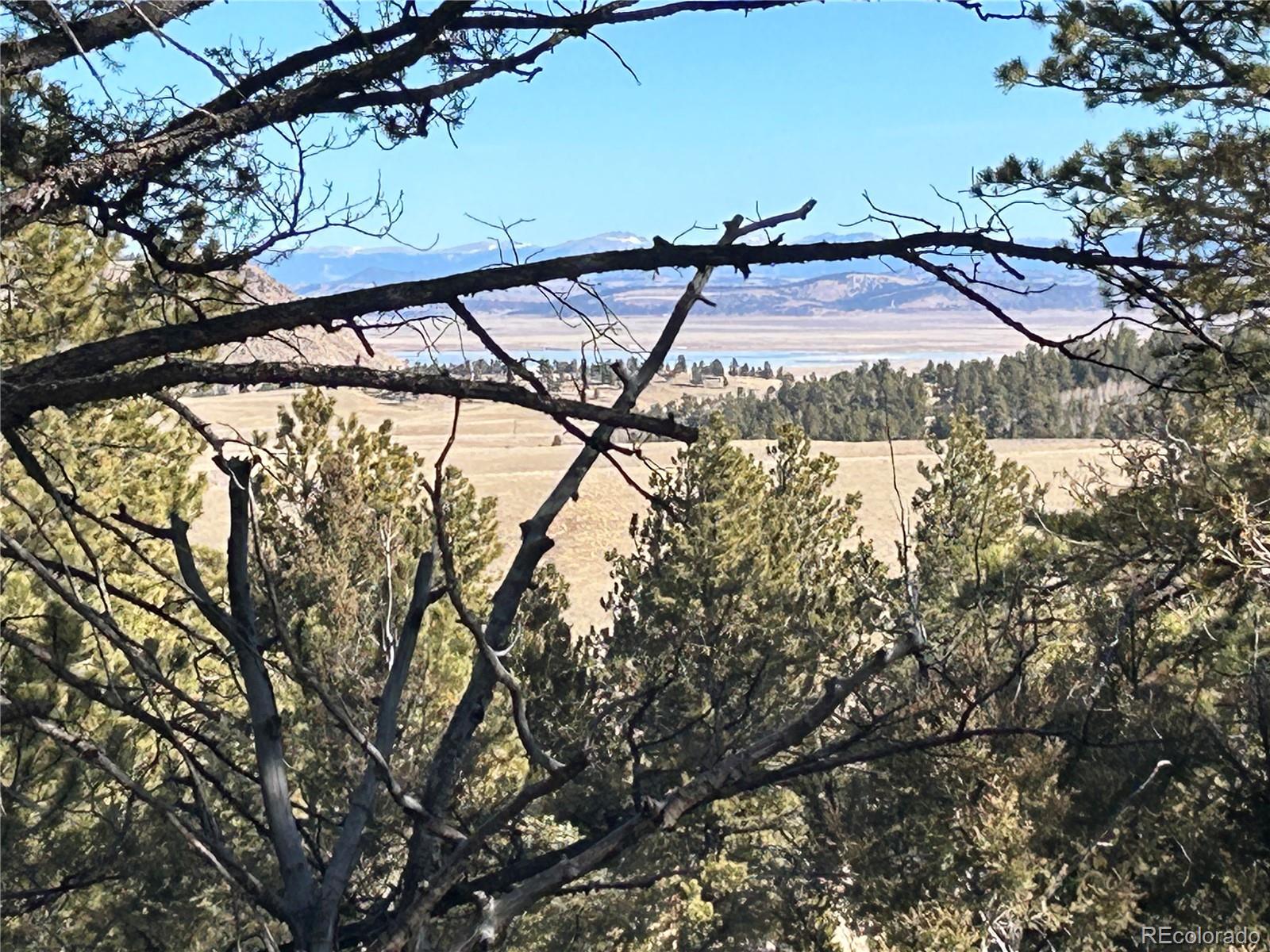 4376 Campfire Road Hartsel, CO 80449 - Photo 4 of 10