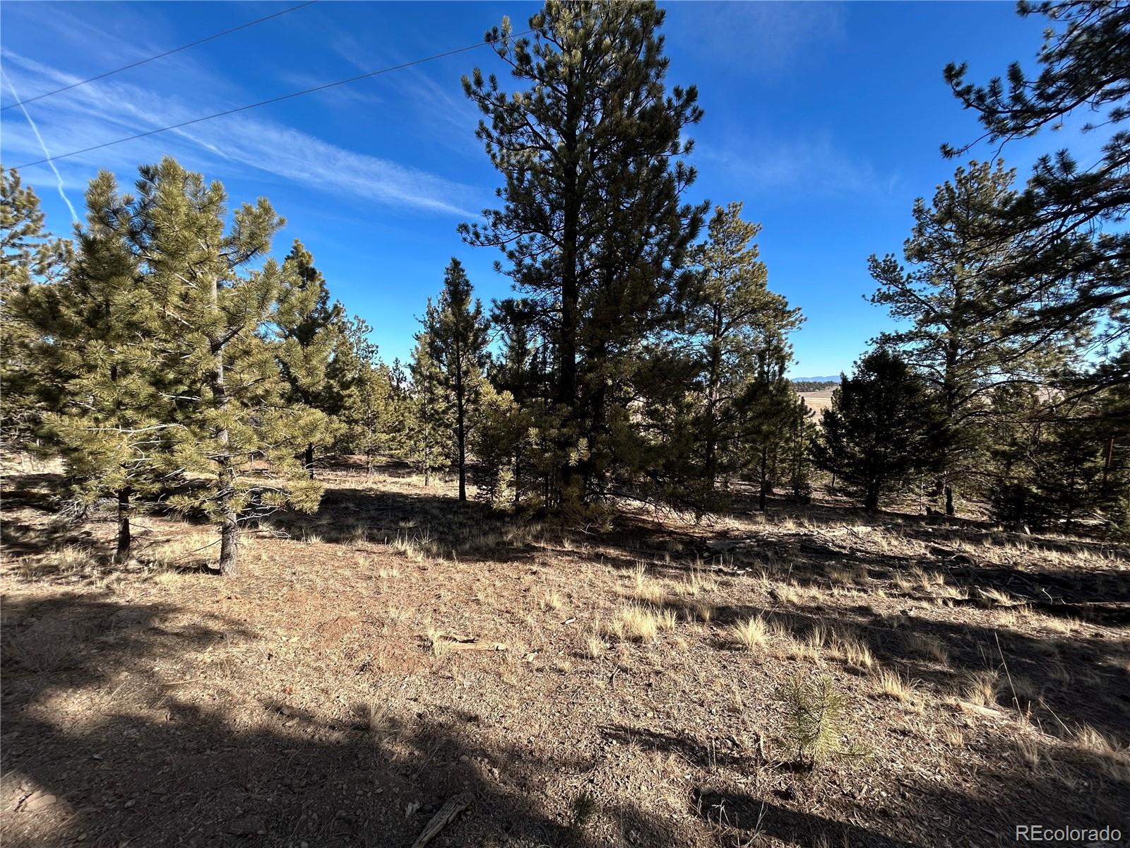 4376 Campfire Road Hartsel, CO 80449 - Photo 5 of 10