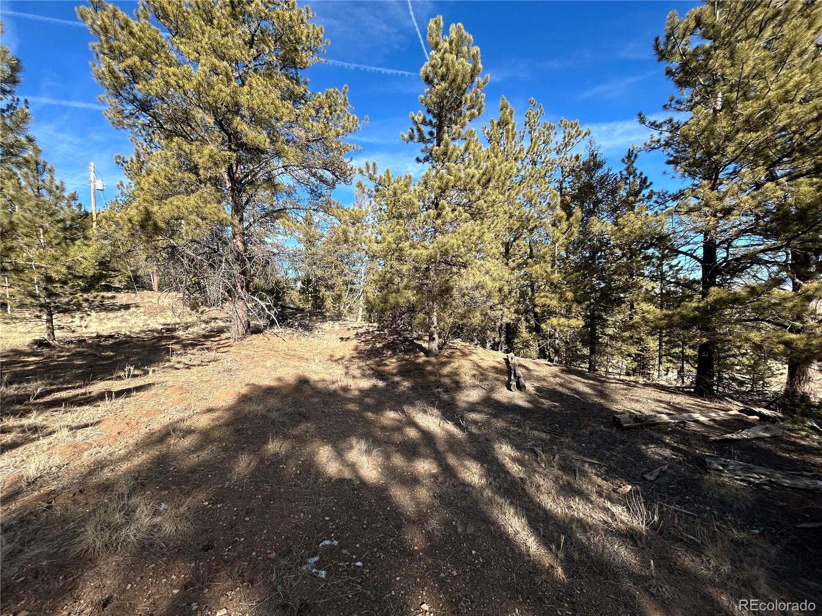 4376 Campfire Road Hartsel, CO 80449 - Photo 6 of 10