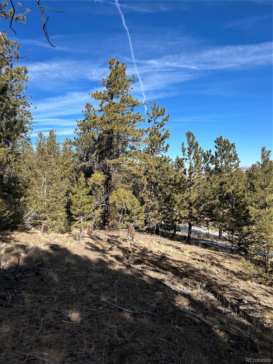 4376 Campfire Road Hartsel, CO 80449 - Photo 7 of 10