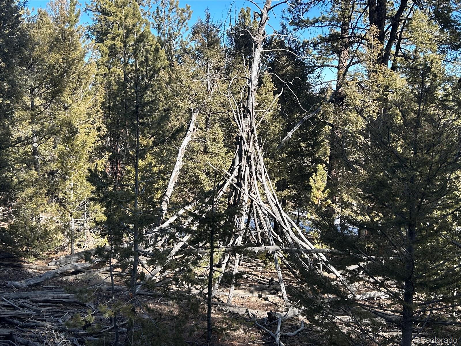 4376 Campfire Road Hartsel, CO 80449 - Photo 8 of 10