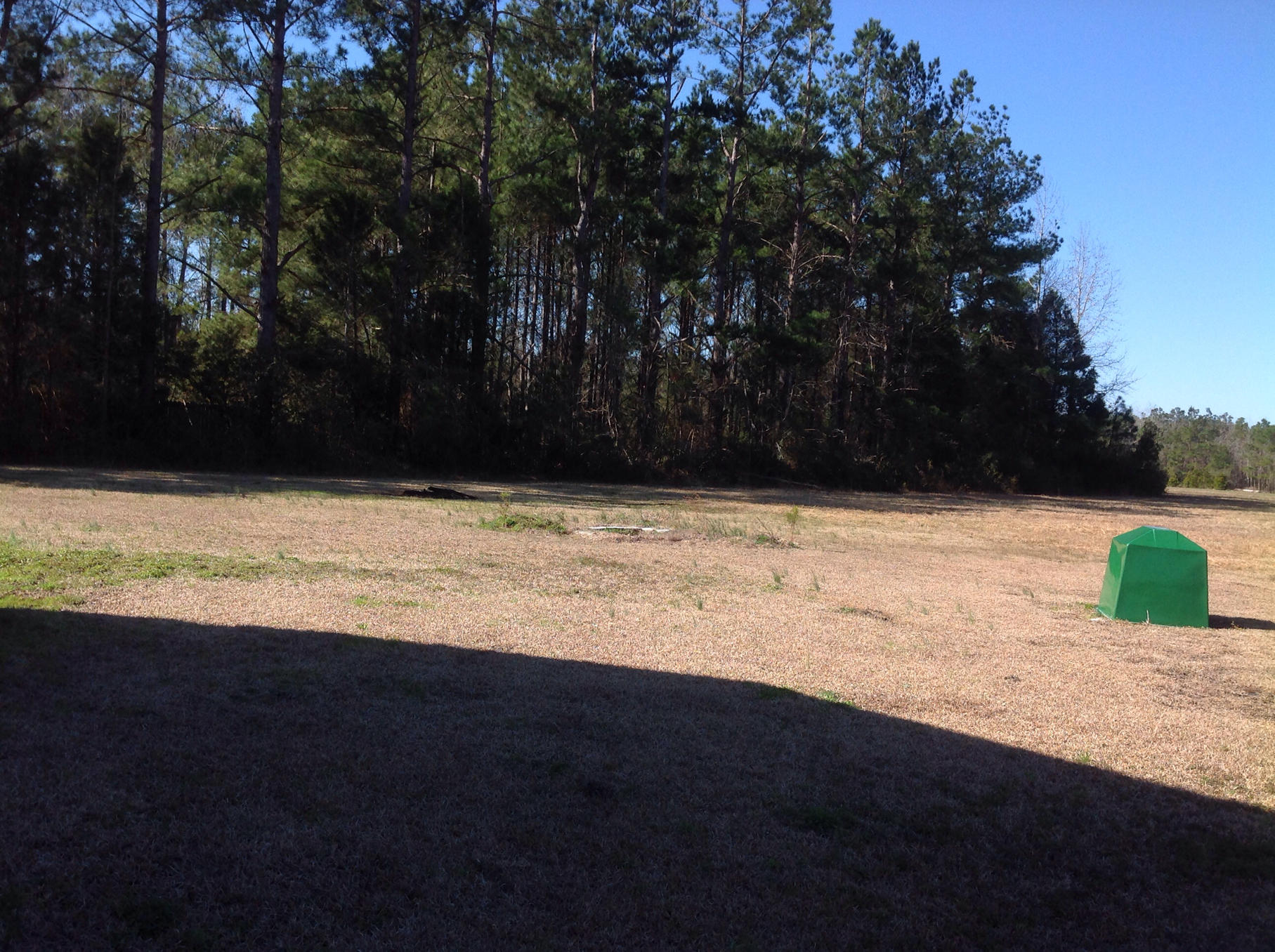 1035 Lebanon Road Ridgeville, SC 29472 - Photo 21 of 21 IMG_0615