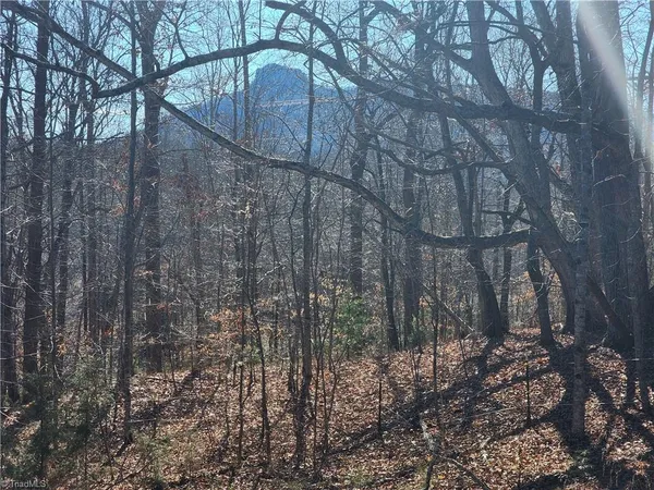 $95,000 | 0 Golf Course Road, Pilot Mountain, NC 27041